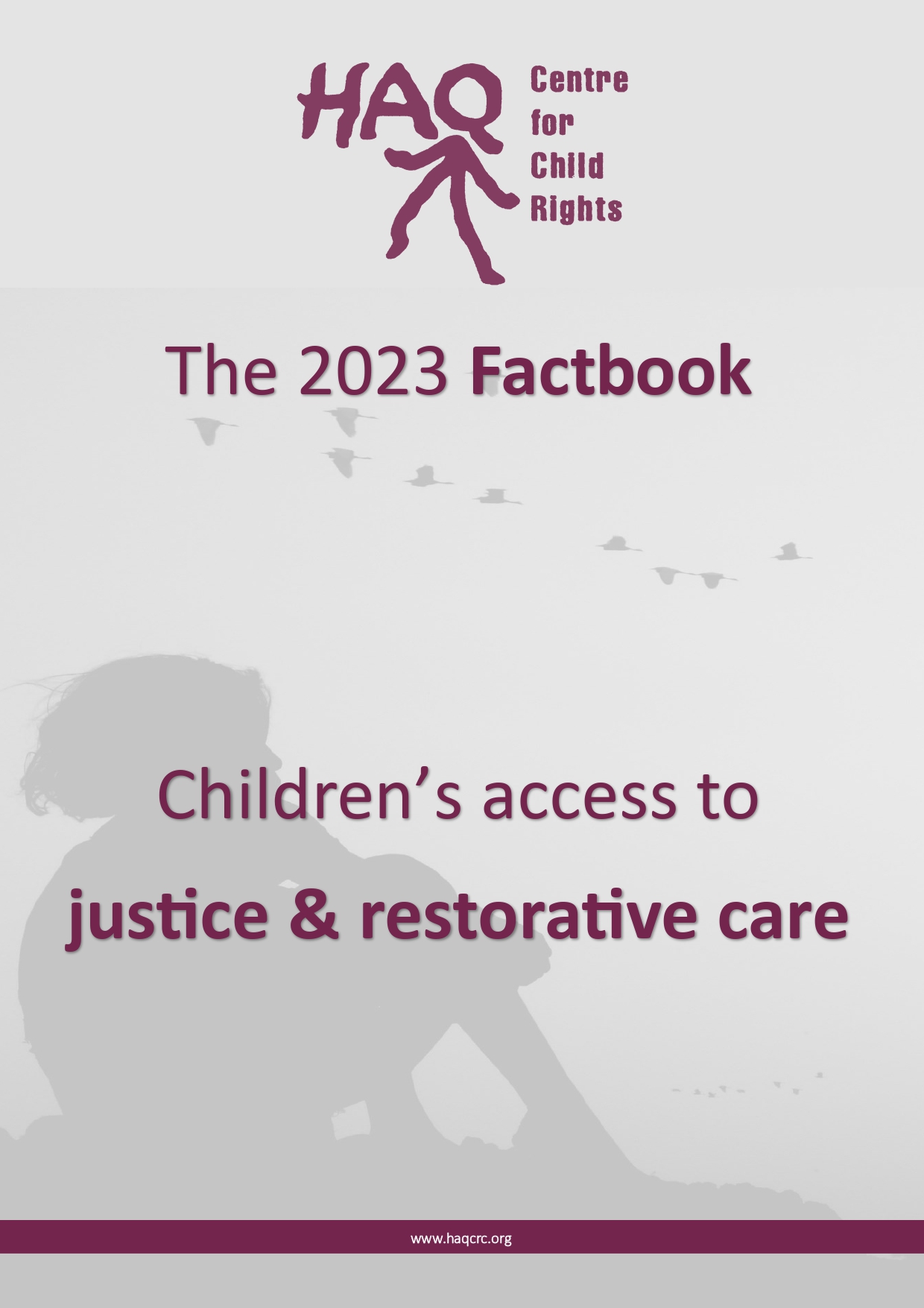 The 2023 Factbook – Access to Justice & Restorative Care